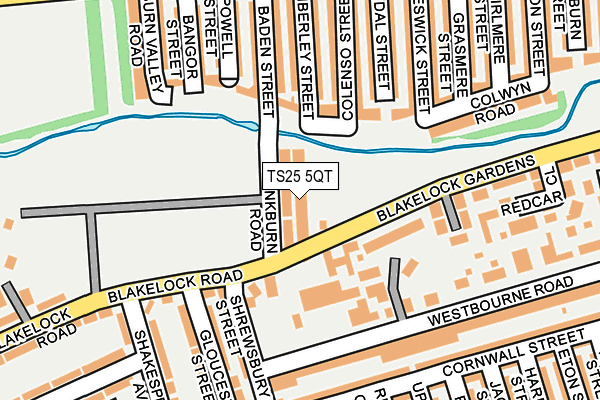 TS25 5QT map - OS OpenMap – Local (Ordnance Survey)