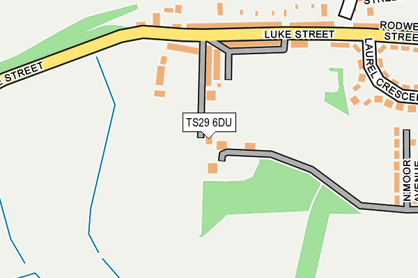 TS29 6DU map - OS OpenMap – Local (Ordnance Survey)