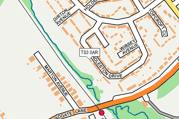 TS3 0AR map - OS OpenMap – Local (Ordnance Survey)