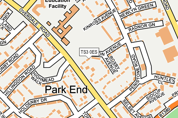 TS3 0ES map - OS OpenMap – Local (Ordnance Survey)