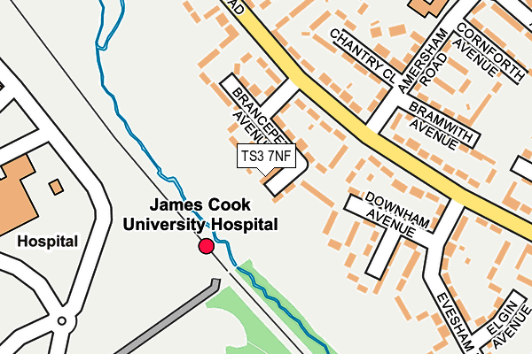 TS3 7NF map - OS OpenMap – Local (Ordnance Survey)