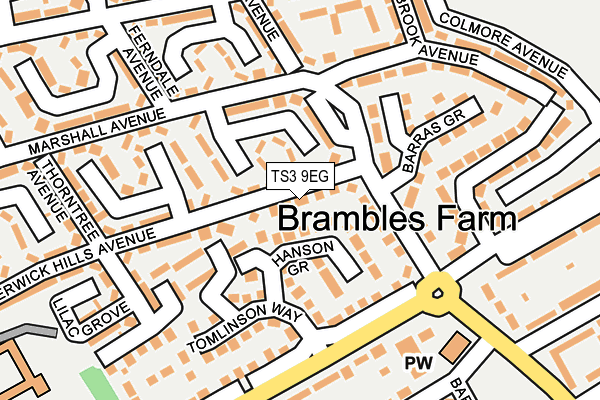 TS3 9EG map - OS OpenMap – Local (Ordnance Survey)