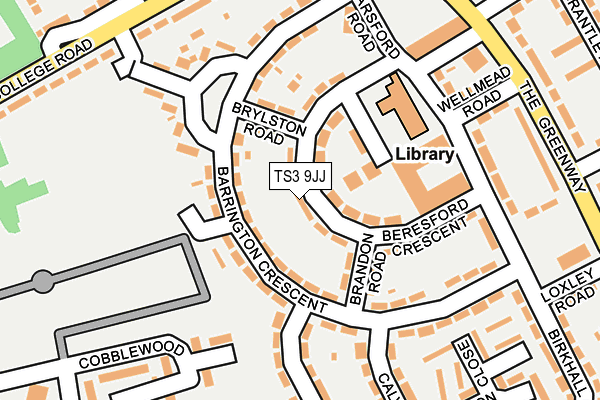 TS3 9JJ map - OS OpenMap – Local (Ordnance Survey)