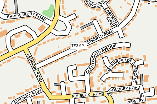 TS3 9PJ map - OS OpenMap – Local (Ordnance Survey)