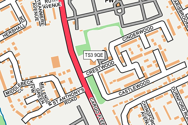 TS3 9QE map - OS OpenMap – Local (Ordnance Survey)