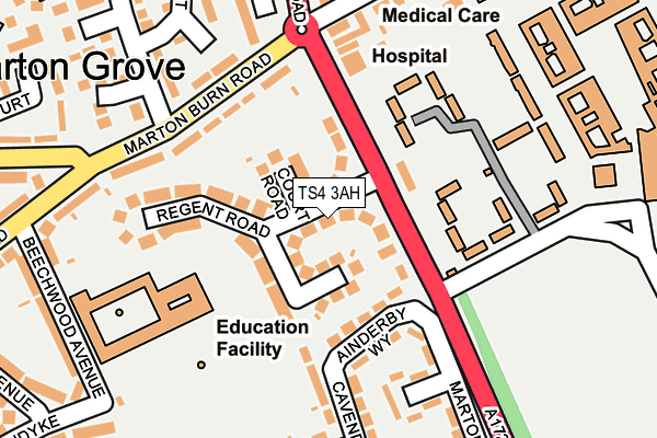 TS4 3AH map - OS OpenMap – Local (Ordnance Survey)