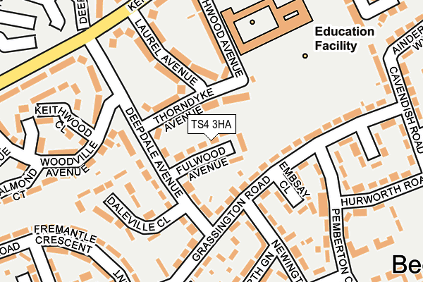 TS4 3HA map - OS OpenMap – Local (Ordnance Survey)