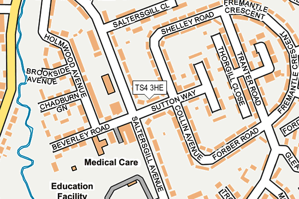 TS4 3HE map - OS OpenMap – Local (Ordnance Survey)