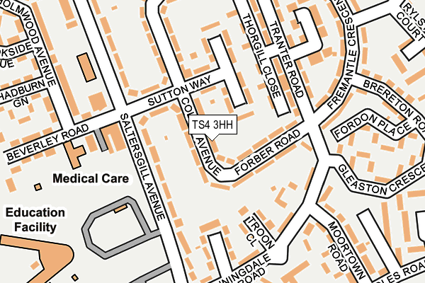 TS4 3HH map - OS OpenMap – Local (Ordnance Survey)