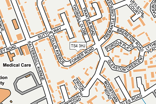 TS4 3HJ map - OS OpenMap – Local (Ordnance Survey)