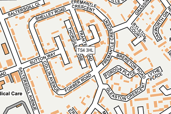 TS4 3HL map - OS OpenMap – Local (Ordnance Survey)