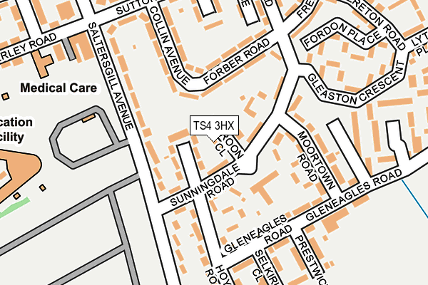 TS4 3HX map - OS OpenMap – Local (Ordnance Survey)