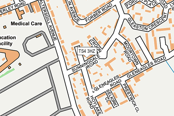 TS4 3HZ map - OS OpenMap – Local (Ordnance Survey)