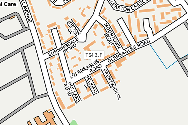 TS4 3JF map - OS OpenMap – Local (Ordnance Survey)
