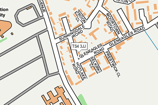 TS4 3JJ map - OS OpenMap – Local (Ordnance Survey)