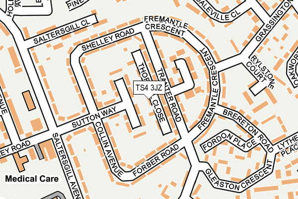 TS4 3JZ map - OS OpenMap – Local (Ordnance Survey)