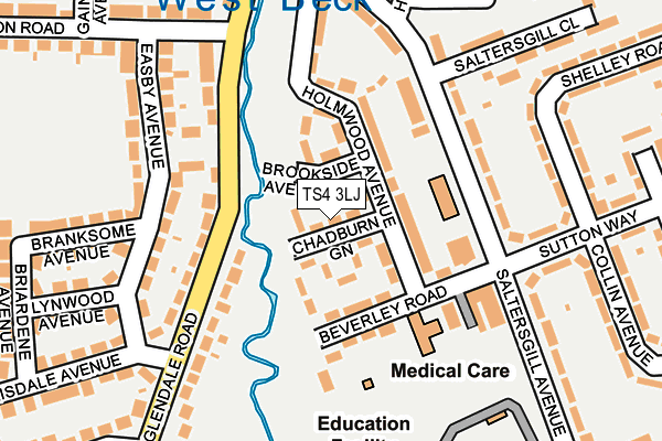 TS4 3LJ map - OS OpenMap – Local (Ordnance Survey)