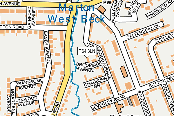 TS4 3LN map - OS OpenMap – Local (Ordnance Survey)