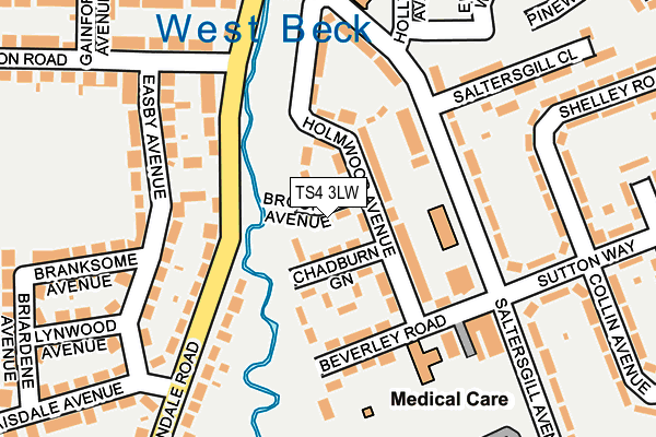 TS4 3LW map - OS OpenMap – Local (Ordnance Survey)