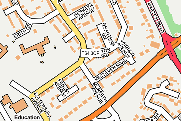 TS4 3QP map - OS OpenMap – Local (Ordnance Survey)