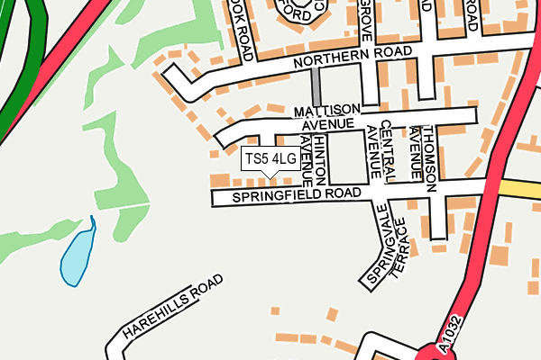 TS5 4LG map - OS OpenMap – Local (Ordnance Survey)