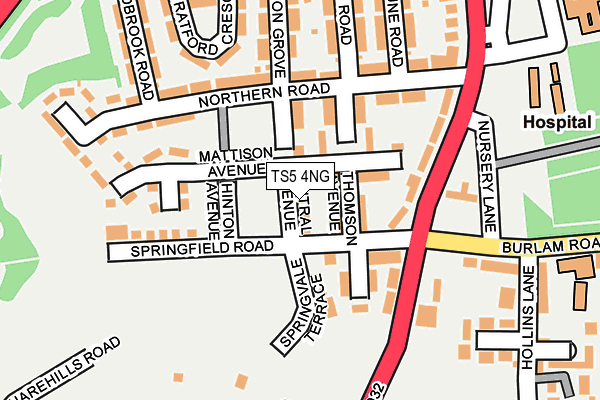 TS5 4NG map - OS OpenMap – Local (Ordnance Survey)