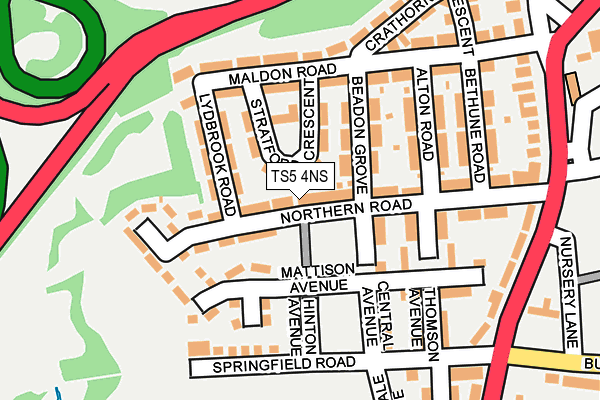 TS5 4NS map - OS OpenMap – Local (Ordnance Survey)