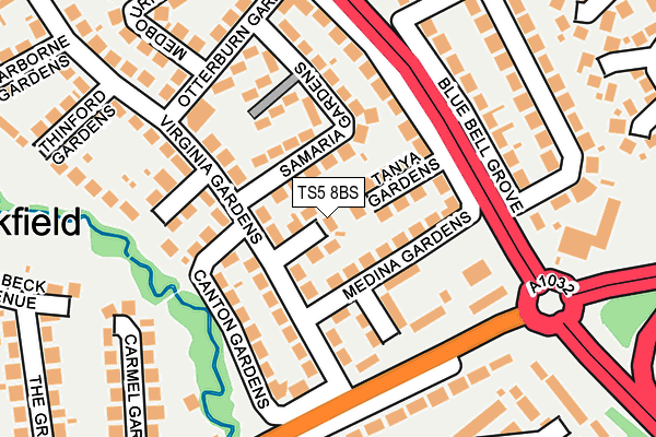 TS5 8BS map - OS OpenMap – Local (Ordnance Survey)