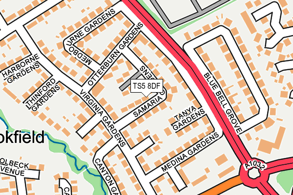 TS5 8DF map - OS OpenMap – Local (Ordnance Survey)