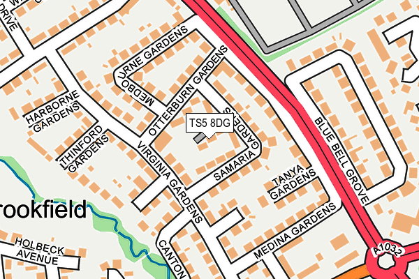 TS5 8DG map - OS OpenMap – Local (Ordnance Survey)