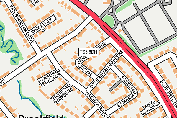 TS5 8DH map - OS OpenMap – Local (Ordnance Survey)
