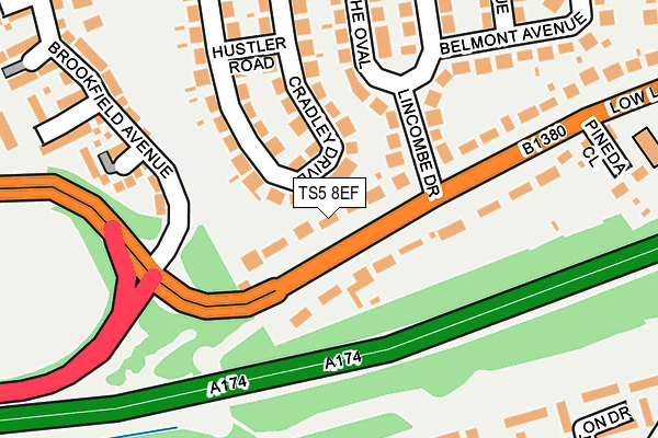 TS5 8EF map - OS OpenMap – Local (Ordnance Survey)