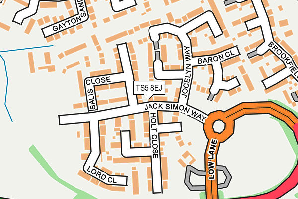 TS5 8EJ map - OS OpenMap – Local (Ordnance Survey)