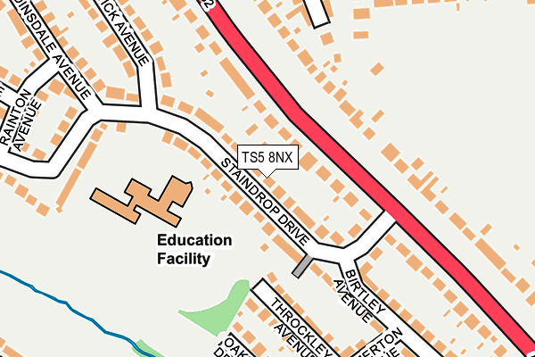 TS5 8NX map - OS OpenMap – Local (Ordnance Survey)