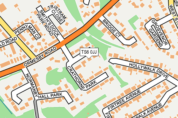 TS6 0JJ map - OS OpenMap – Local (Ordnance Survey)