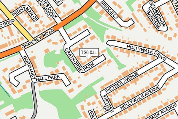 TS6 0JL map - OS OpenMap – Local (Ordnance Survey)