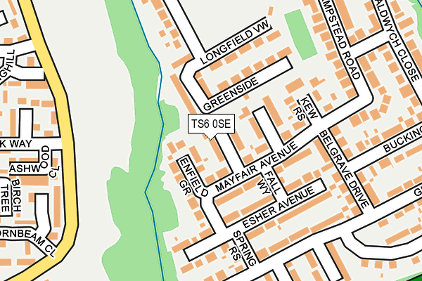 TS6 0SE map - OS OpenMap – Local (Ordnance Survey)