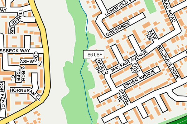 TS6 0SF map - OS OpenMap – Local (Ordnance Survey)
