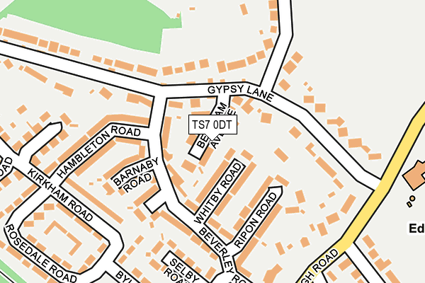 TS7 0DT map - OS OpenMap – Local (Ordnance Survey)