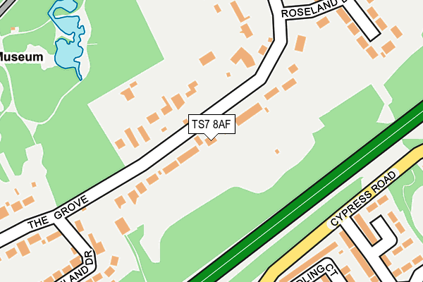 TS7 8AF map - OS OpenMap – Local (Ordnance Survey)
