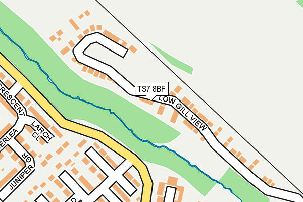 TS7 8BF map - OS OpenMap – Local (Ordnance Survey)