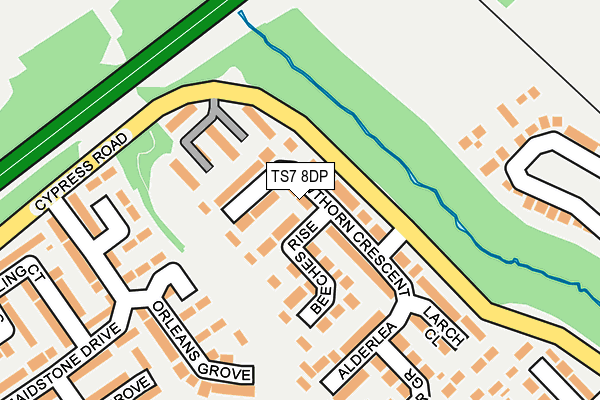 TS7 8DP map - OS OpenMap – Local (Ordnance Survey)