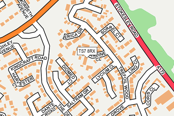 TS7 8RX map - OS OpenMap – Local (Ordnance Survey)