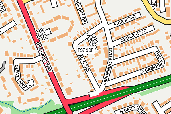 TS7 9DF map - OS OpenMap – Local (Ordnance Survey)