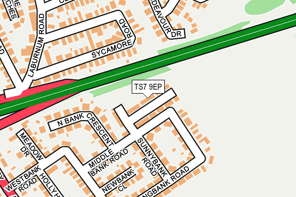 TS7 9EP map - OS OpenMap – Local (Ordnance Survey)