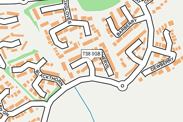 TS8 0GB map - OS OpenMap – Local (Ordnance Survey)