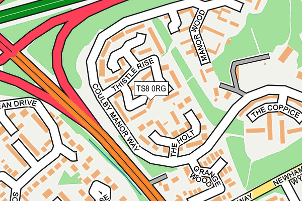 TS8 0RG map - OS OpenMap – Local (Ordnance Survey)