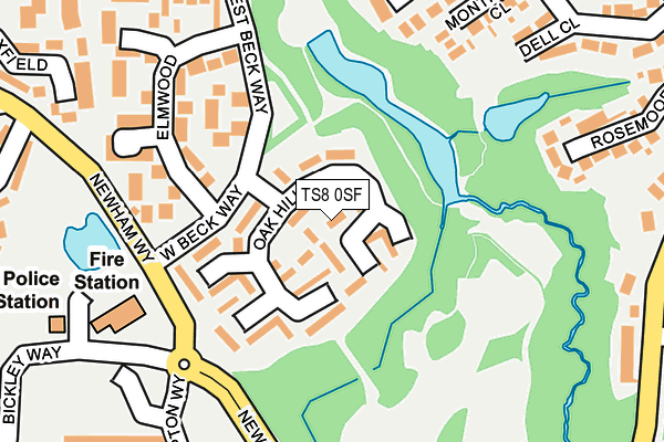 TS8 0SF map - OS OpenMap – Local (Ordnance Survey)