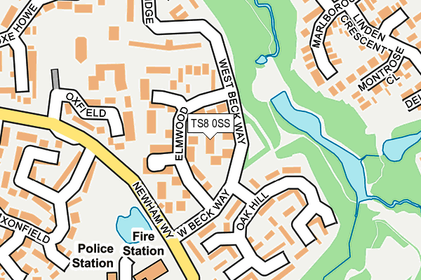 TS8 0SS map - OS OpenMap – Local (Ordnance Survey)