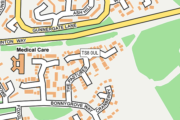 TS8 0UL map - OS OpenMap – Local (Ordnance Survey)